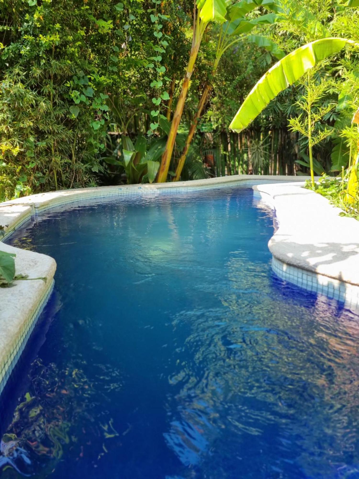 Eco Hotel Tahawi Ajijic Luaran gambar