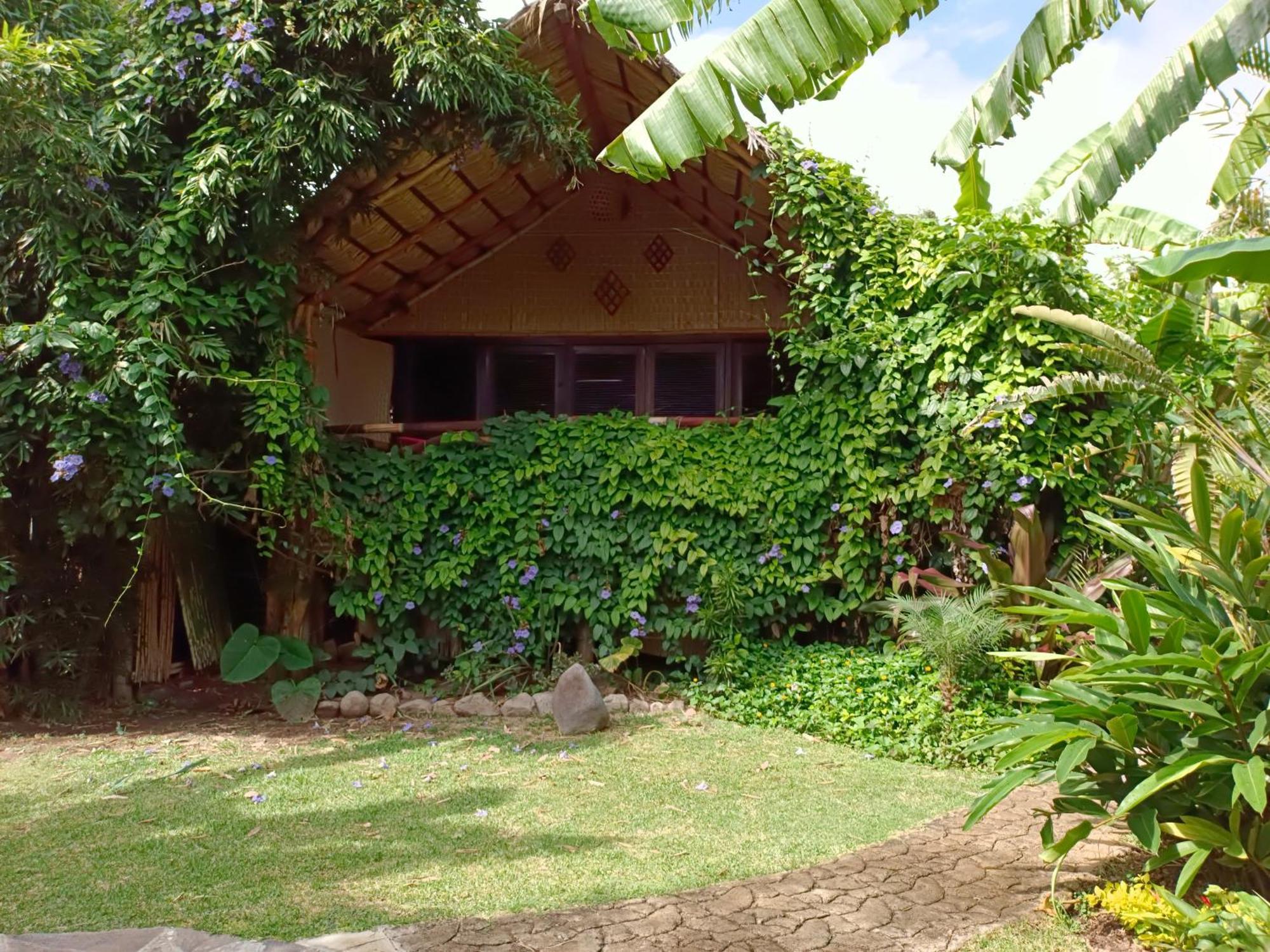 Eco Hotel Tahawi Ajijic Luaran gambar